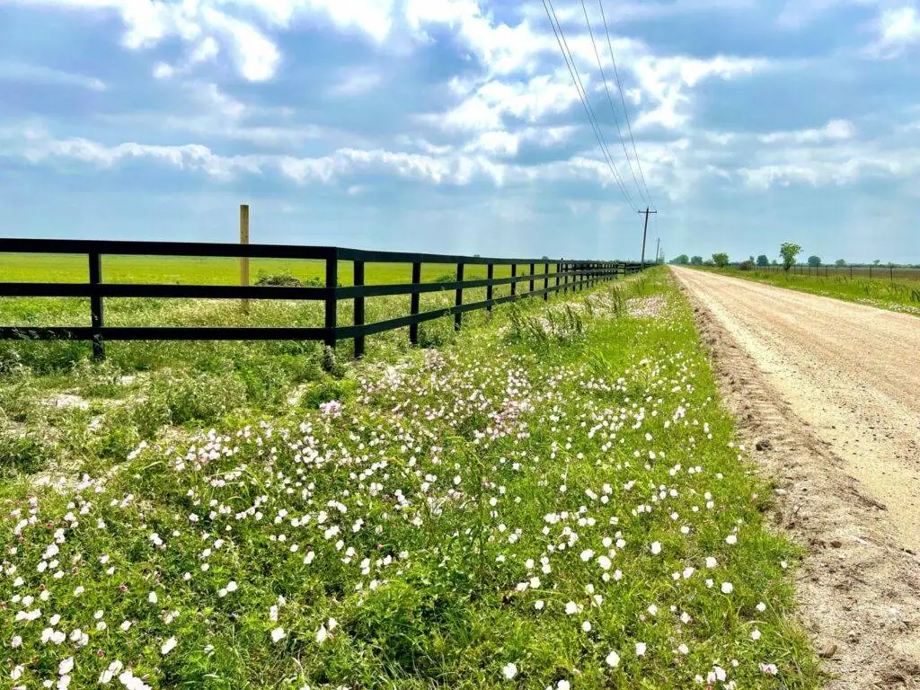 Duck Haven Subdivision