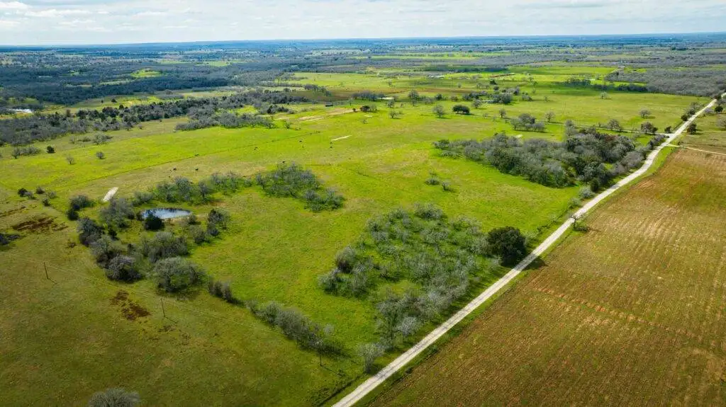 why texas topography and vegetation matter when buying land