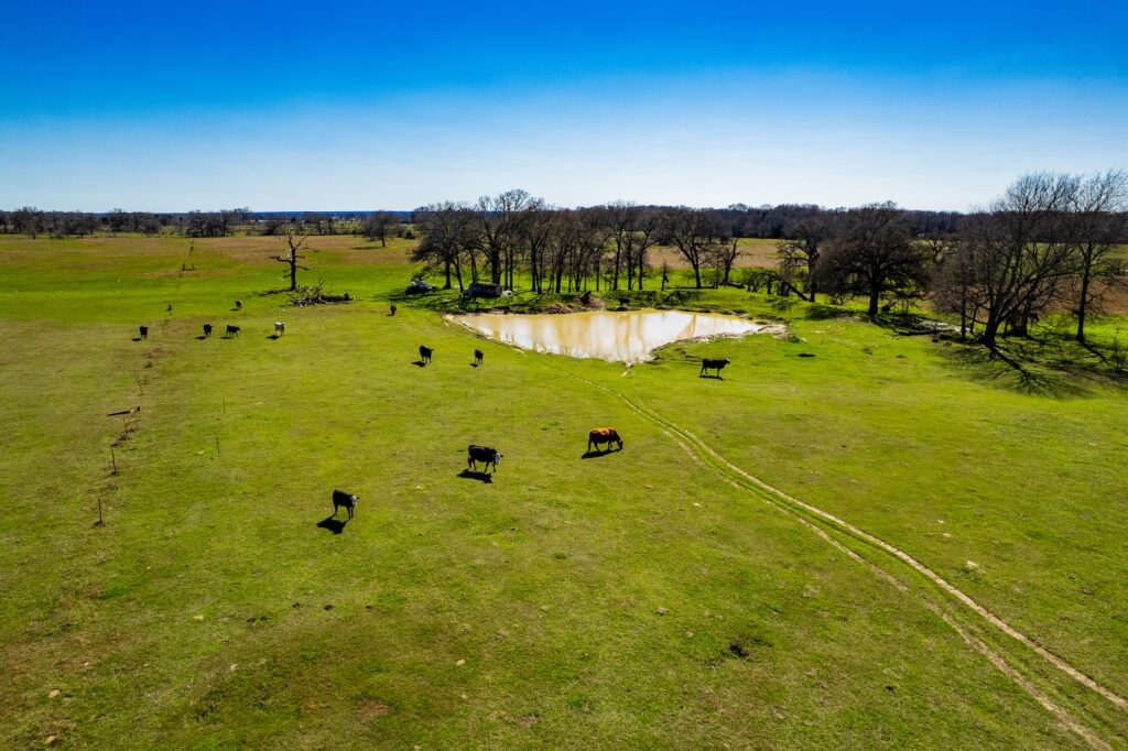Townside Meadows