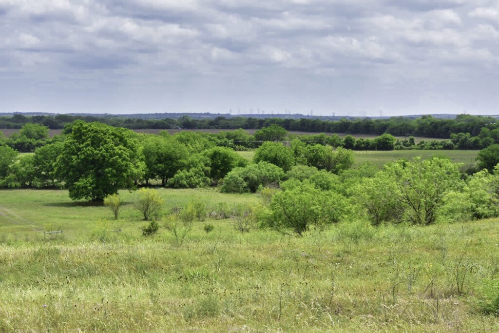 Skyline Ranch