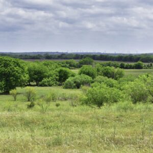 Skyline Ranch